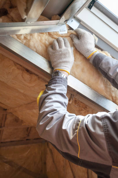 Best Blown-in Insulation in Prairie Grove, IL