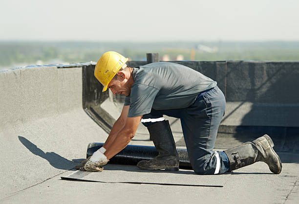 Best Eco-Friendly Insulation in Prairie Grove, IL